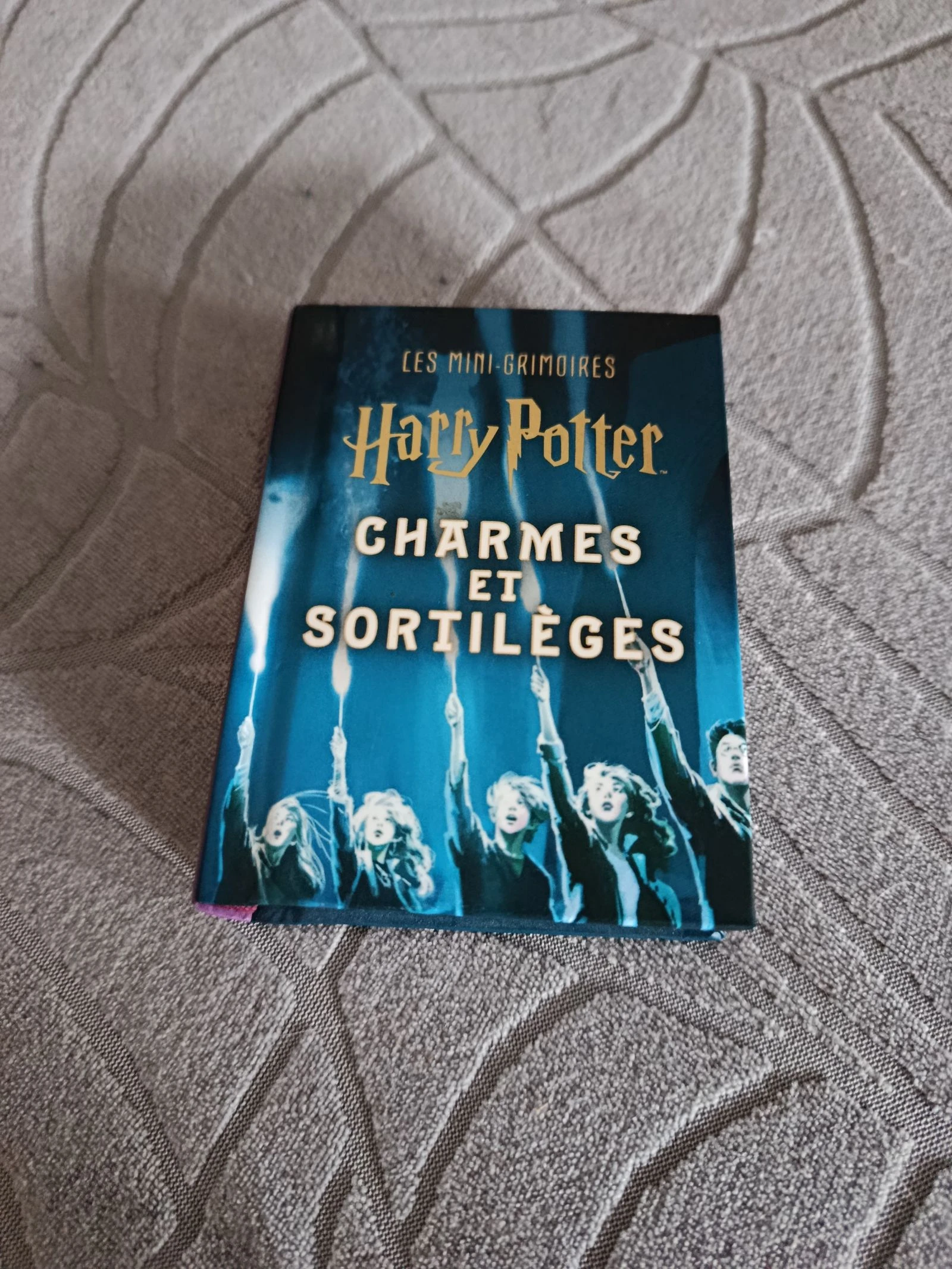 A saisir, magnifique mini grimoire " Harry Potter" ( bien lire )
